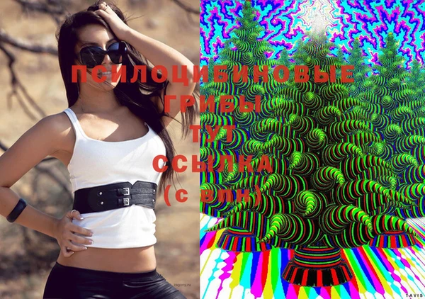 круглые Арсеньев