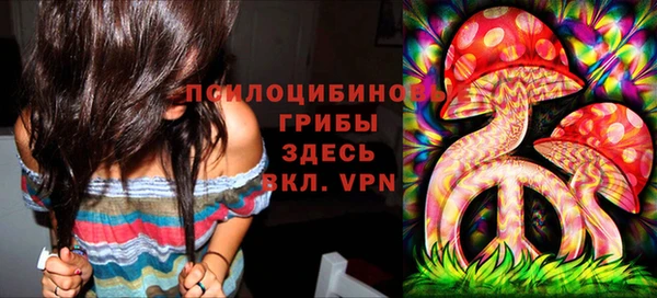 дурь Армянск