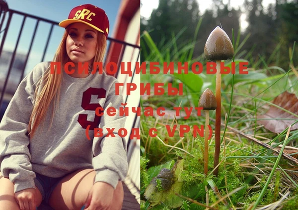 метамфетамин Аркадак