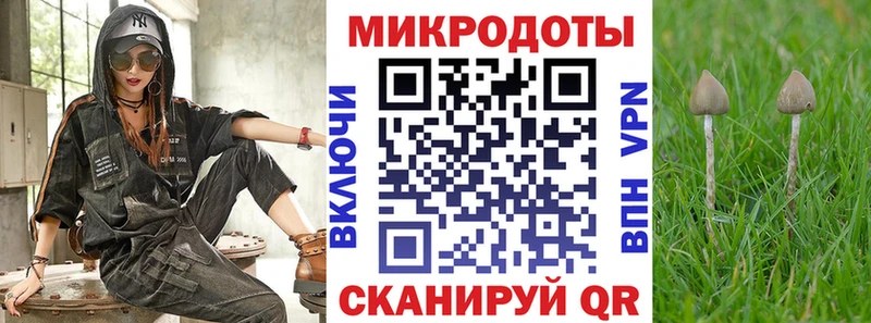 где найти   Скопин  Галлюциногенные грибы Cubensis 